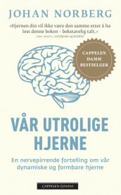 Vår utrolige hjerne av Johan Norberg (Heftet)