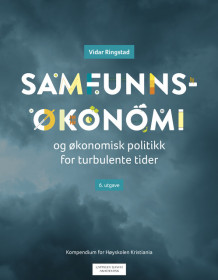 Samfunnsøkonomi og økonomisk politikk for turbulente tider av Vidar Ringstad (Ebok)