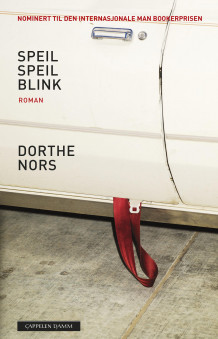 Speil speil blink av Dorthe Nors (Ebok)