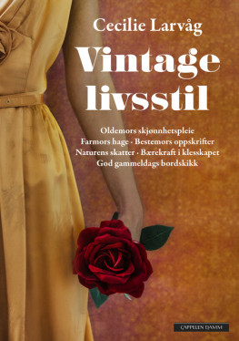 Omslag - Vintage livsstil