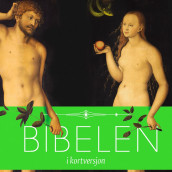 Bibelen i kortversjon (Nedlastbar lydbok)