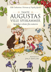 Tante Augustas ville spiskammer av Vigdis Hjorth og Edle Catharina Norman (Innbundet)