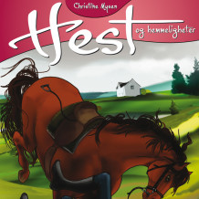 Ulykke av Christine Mysen (Nedlastbar lydbok)