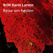 Reise om høsten av Britt Karin Larsen (Nedlastbar lydbok)