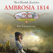 Der kampen sto av Berit Elisabeth Sandviken (Nedlastbar lydbok)