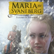 Stjålne øyeblikk av Elisabeth Hammer (Nedlastbar lydbok)