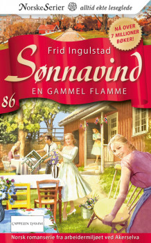 En gammel flamme av Frid Ingulstad (Ebok)