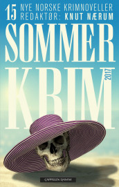 Sommerkrim 2017 (Ebok)
