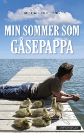 Min sommer som gåsepappa av Michael Quetting (Innbundet)