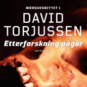 Etterforskning pågår av David Torjussen (Nedlastbar lydbok)