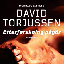 Etterforskning pågår av David Torjussen (Nedlastbar lydbok)