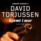 Gjemt i mur av David Torjussen (Nedlastbar lydbok)