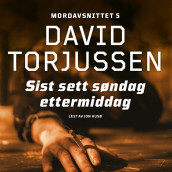 Sist sett søndag ettermiddag av David Torjussen (Nedlastbar lydbok)