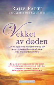 Vekket av døden av Rajiv Parti (Ebok)