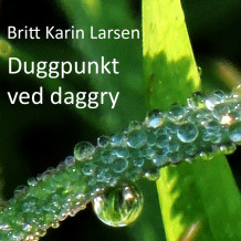 Duggpunkt ved daggry av Britt Karin Larsen (Nedlastbar lydbok)