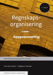 Regnskapsorganisering - Oppgavesamling av Bjørgunn Havstein og Tove-Gunn Moen (Heftet)