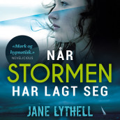 Når stormen har lagt seg av Jane Lythell (Nedlastbar lydbok)