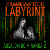 Benjamin Svartfeldts labyrint av Tore Aurstad og Carina Westberg (Nedlastbar lydbok)