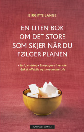 En liten bok om det store som skjer når du følger planen av Birgitte Lange (Innbundet)