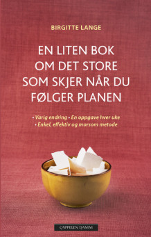 En liten bok om det store som skjer når du følger planen av Birgitte Lange (Innbundet)