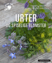 Urter og spiselige blomster av Kenneth Ingebretsen og Tommy Tønsberg (Heftet)