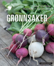 Grønnsaker av Kenneth Ingebretsen og Tommy Tønsberg (Heftet)