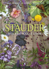 Omslag - Stauder – hvilken plante hvor