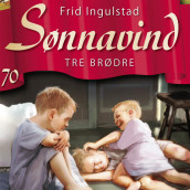 Tre brødre av Frid Ingulstad (Nedlastbar lydbok)