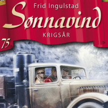 Krigsår av Frid Ingulstad (Nedlastbar lydbok)