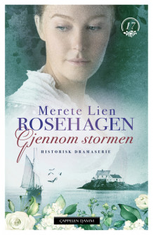 Gjennom stormen av Merete Lien (Ebok)