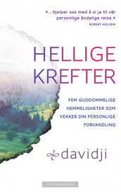 Hellige krefter av davidji (Ebok)