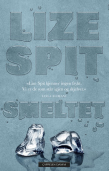 Smeltet av Lize Spit (Ebok)