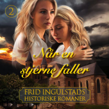 Når en stjerne faller av Frid Ingulstad (Nedlastbar lydbok)