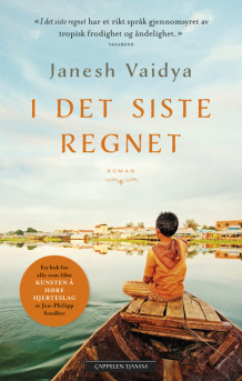 I det siste regnet av Janesh Vaidya (Heftet)