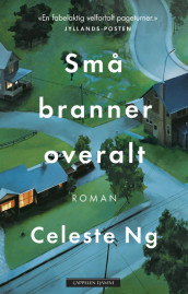 Små branner overalt av Celeste Ng (Innbundet)