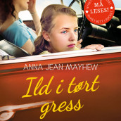 Ild i tørt gress av Anna Jean Mayhew (Nedlastbar lydbok)