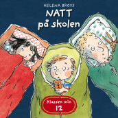 Natt på skolen av Helena Bross (Nedlastbar lydbok)