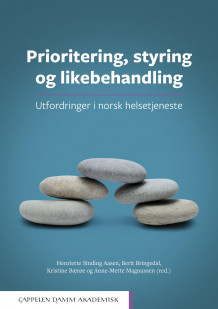 Prioritering, styring og likebehandling av Henriette Sinding Aasen, Berit Bringedal, Kristine Bærøe og Anne-Mette Magnussen (Ebok)