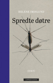 Spredte døtre av Helene Imislund (Ebok)