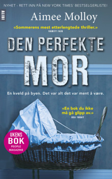 Den perfekte mor av Aimee Molloy (Ebok)