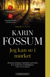 Jeg kan se i mørket av Karin Fossum (Heftet)