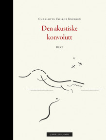 Den akustiske konvolutt av Charlotte Louise Vaillot Knudsen (Ebok)