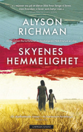 Skyenes hemmelighet av Alyson Richman (Innbundet)