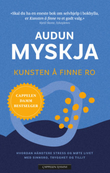 Kunsten å finne ro av Audun Myskja (Ebok)