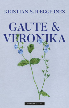 Gaute & Veronika av Kristian S. Hæggernes (Ebok)