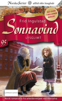 Lysglimt av Frid Ingulstad (Heftet)