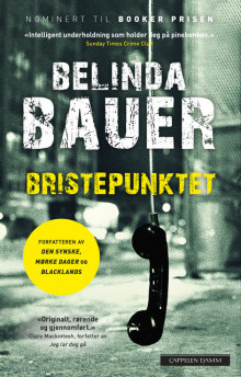 Bristepunktet av Belinda Bauer (Innbundet)