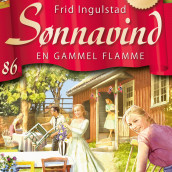 En gammel flamme av Frid Ingulstad (Nedlastbar lydbok)