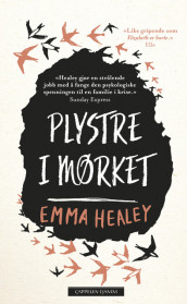 Plystre i mørket av Emma Healey (Ebok)