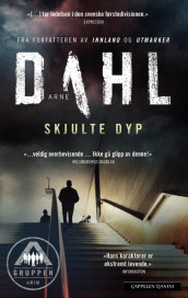 Skjulte dyp av Arne Dahl (Heftet)